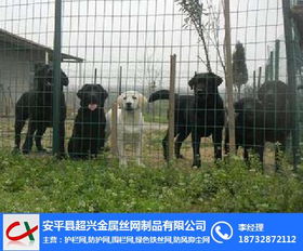 超興荷蘭網(wǎng) 圖 園林鐵絲網(wǎng)